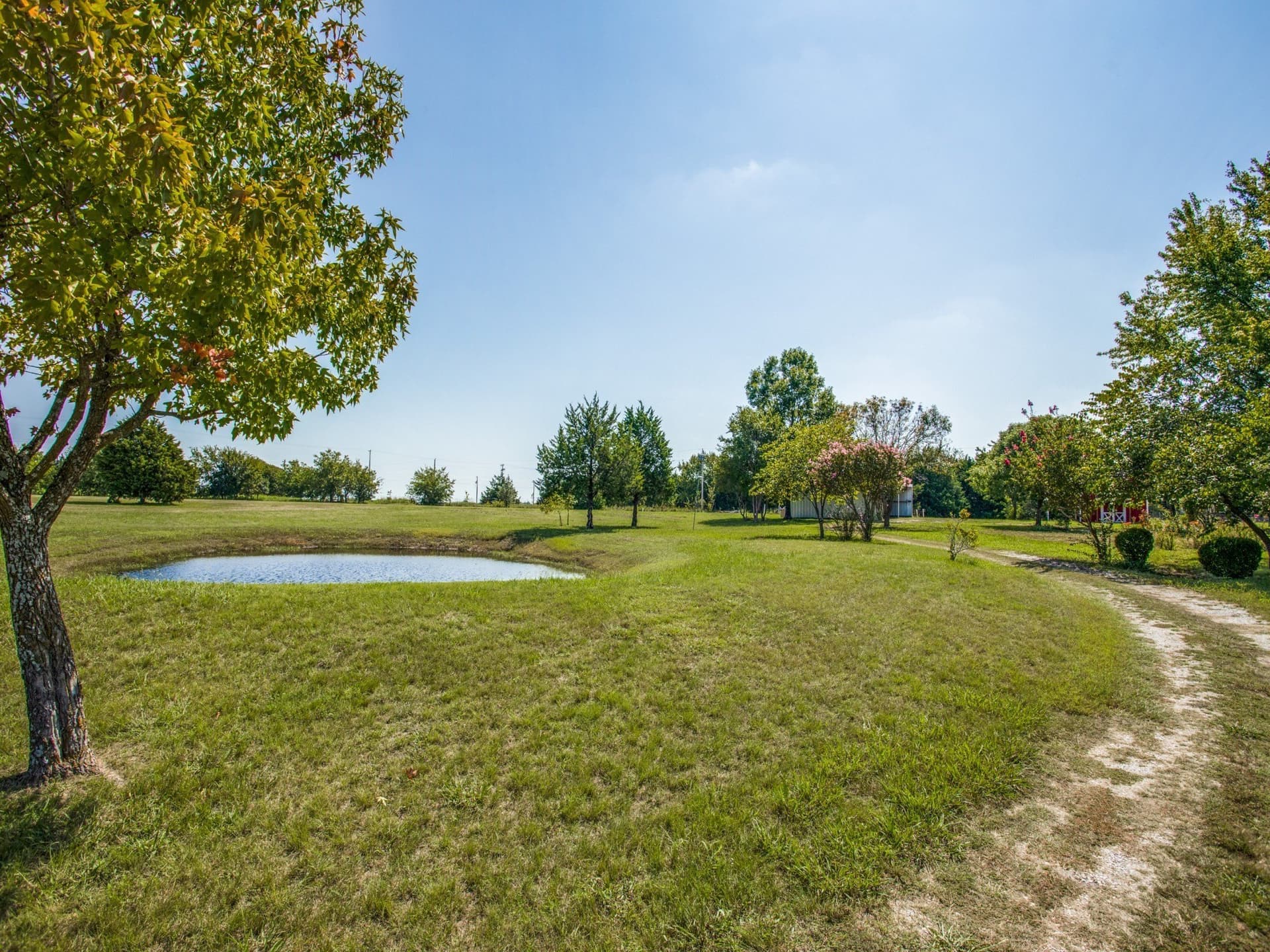 3 acres in Collin County featured view