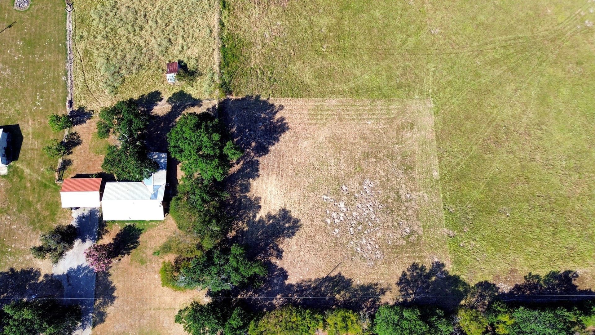 1 acres in Freestone County - photo 9