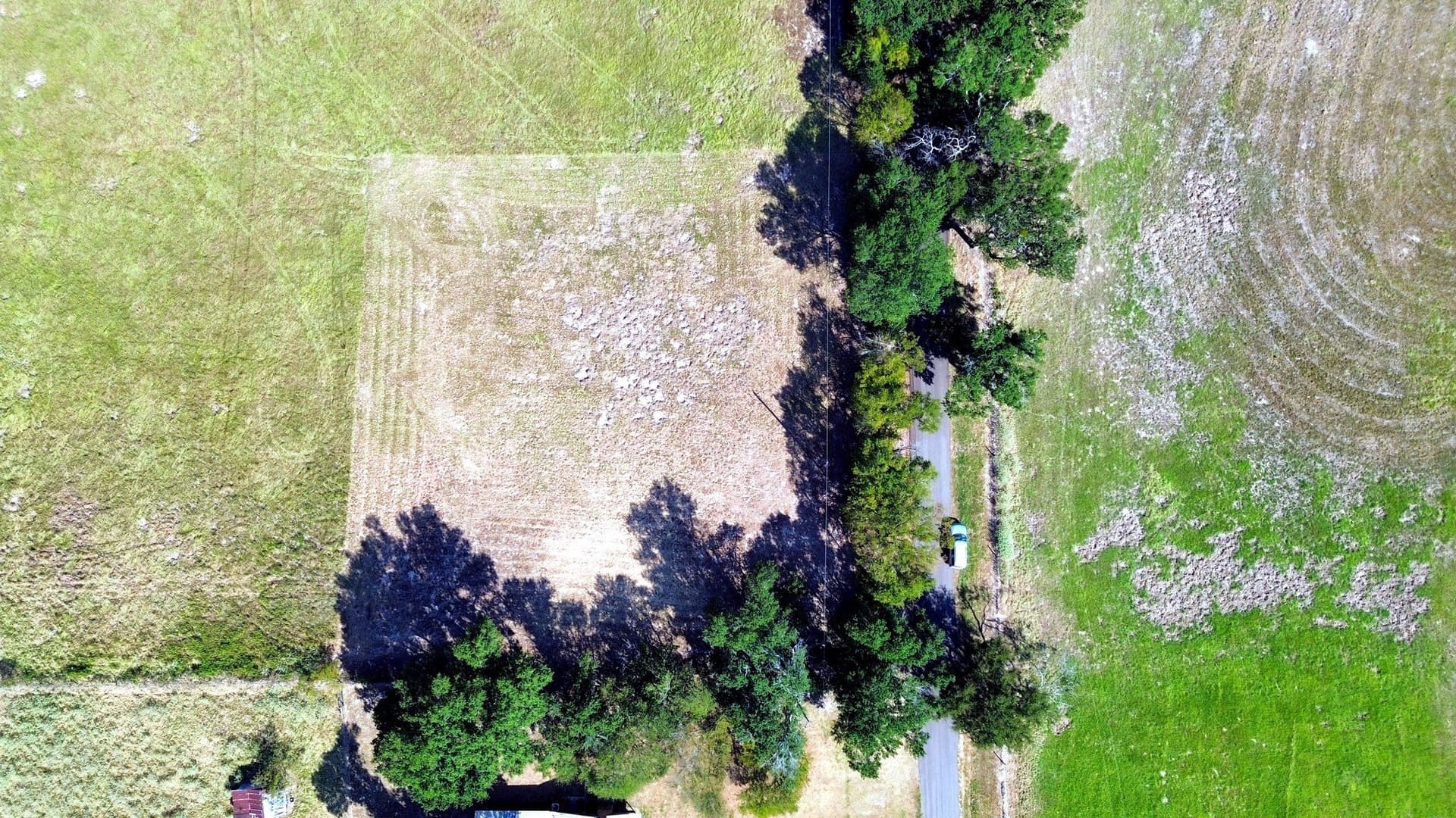 1 acres in Freestone County - photo 11