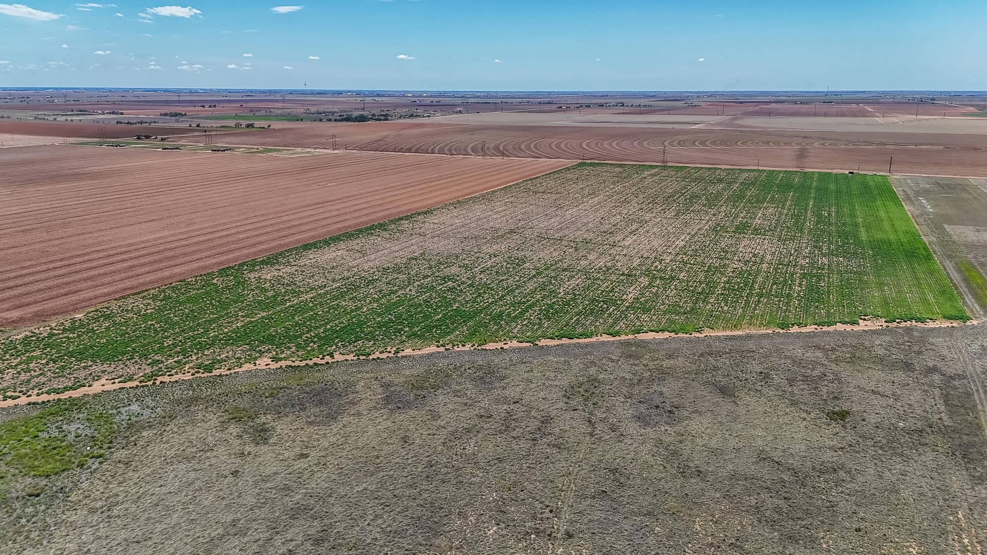 24.3 acres in Lubbock County - photo 20