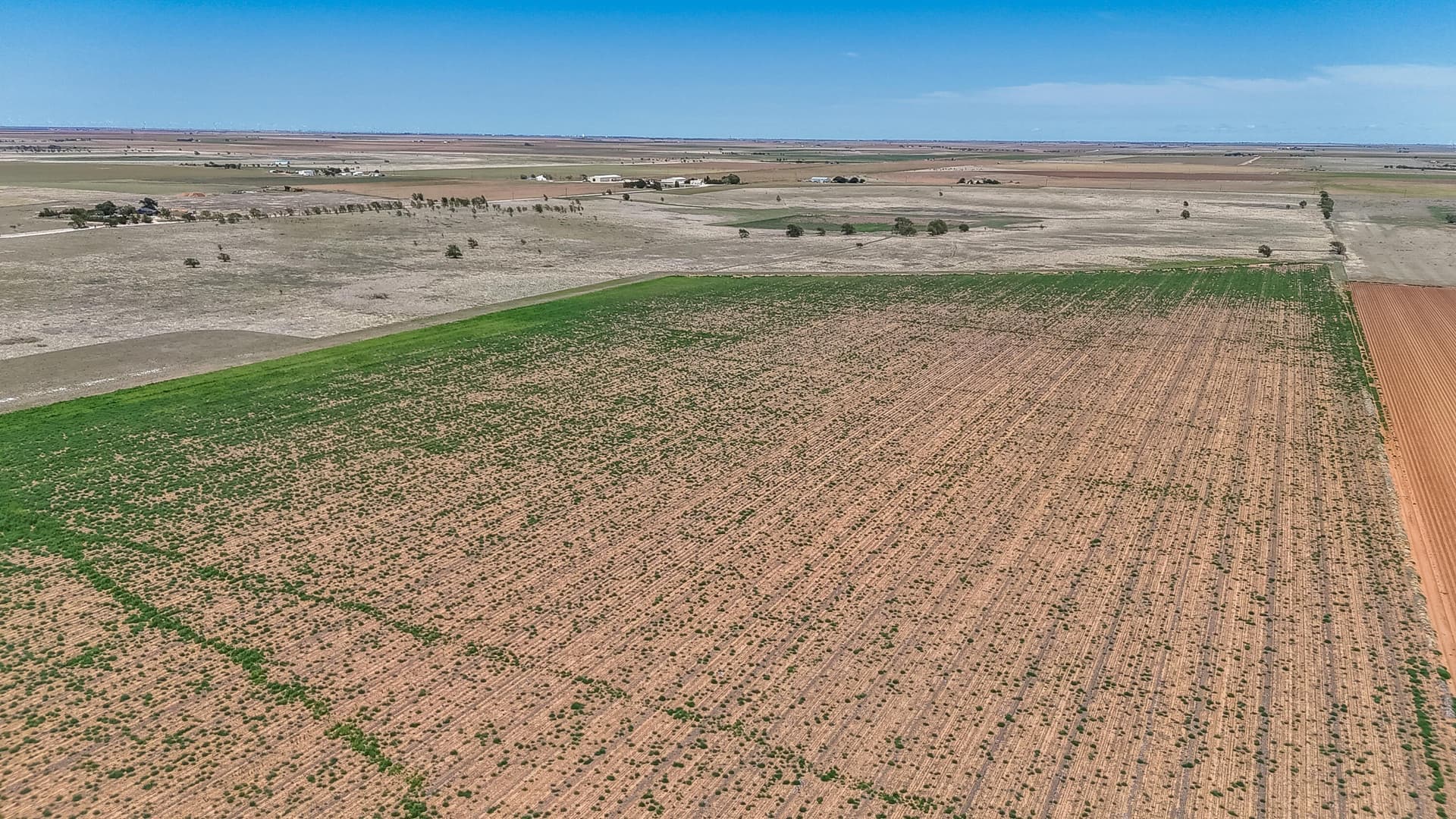 24.3 acres in Lubbock County - photo 22