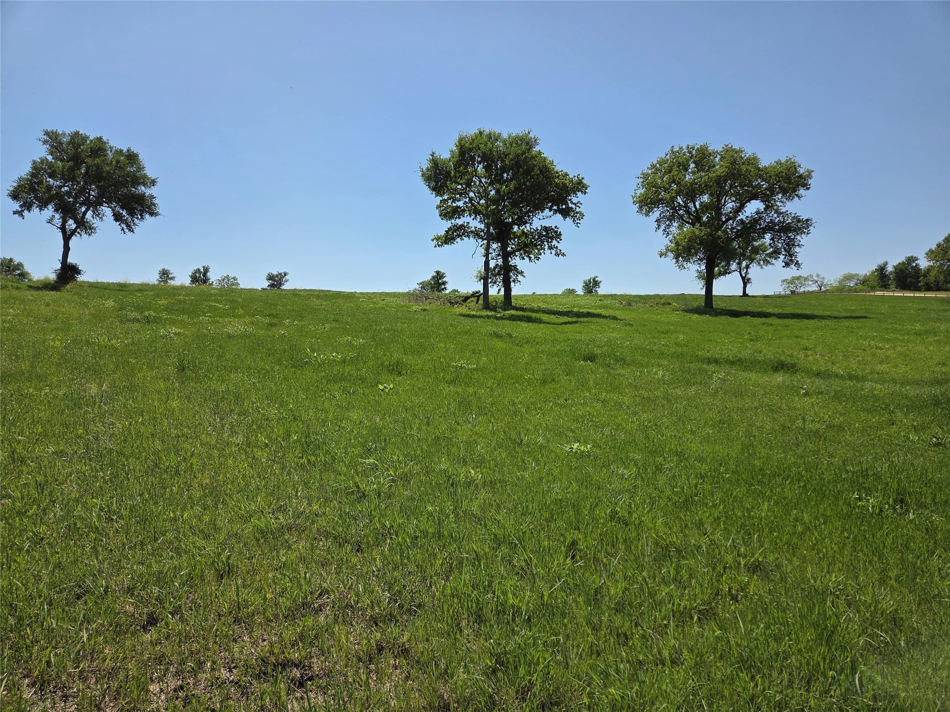 1.14 acres in Navarro County - photo 17