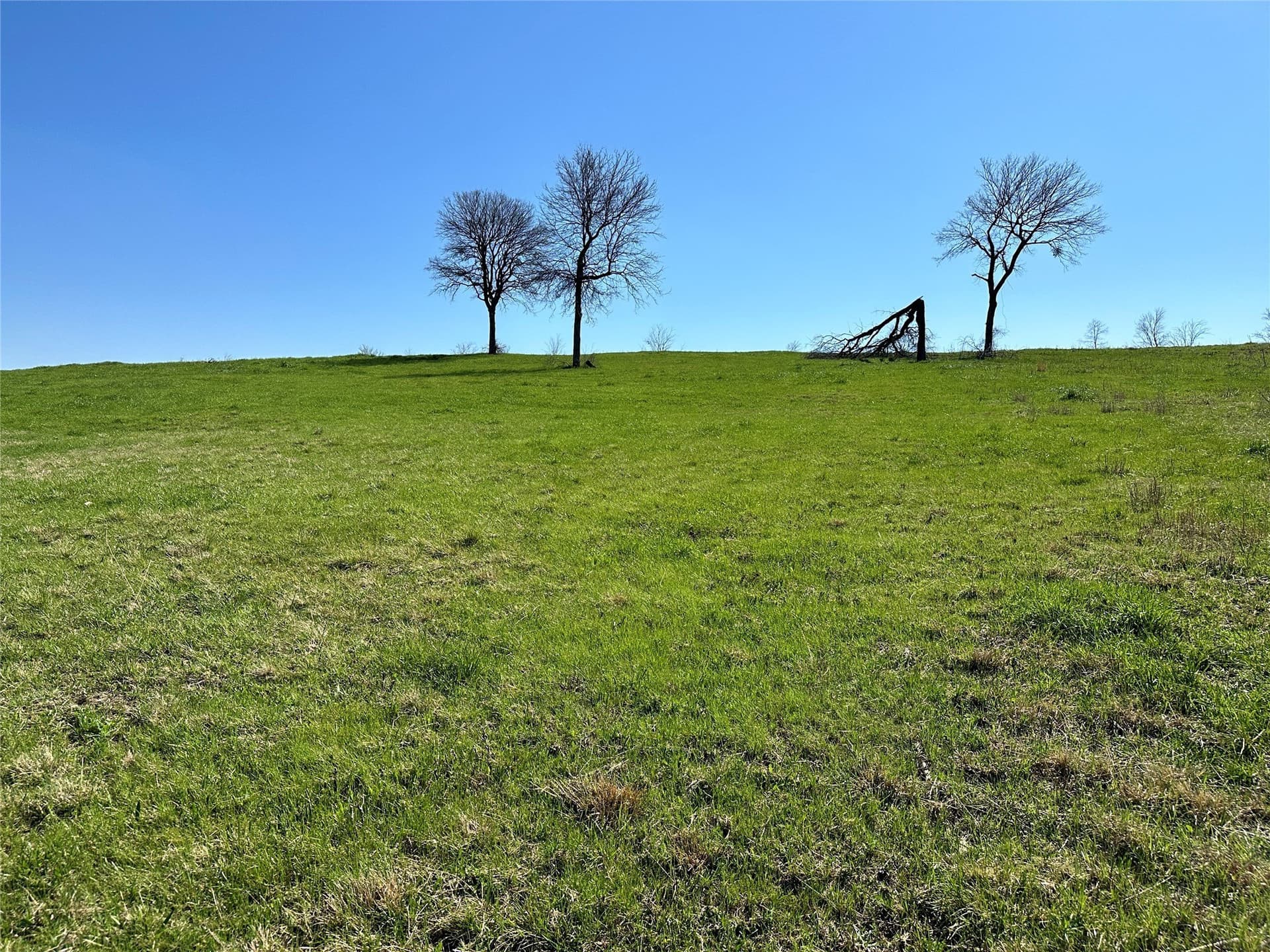 1.14 acres in Navarro County - photo 13