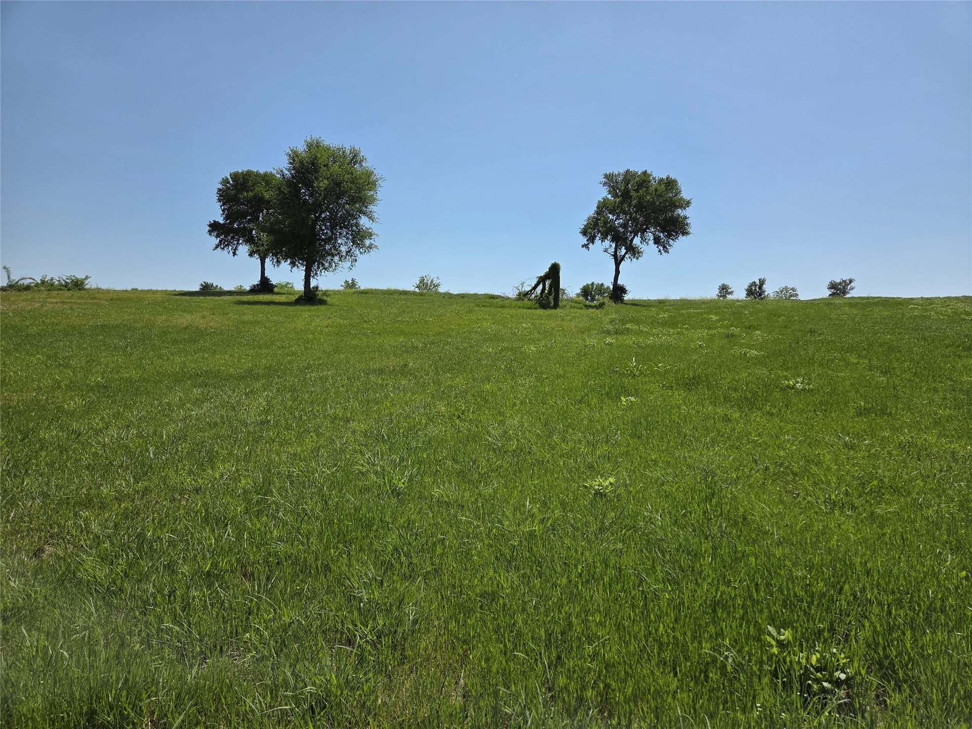 1.14 acres in Navarro County - photo 21