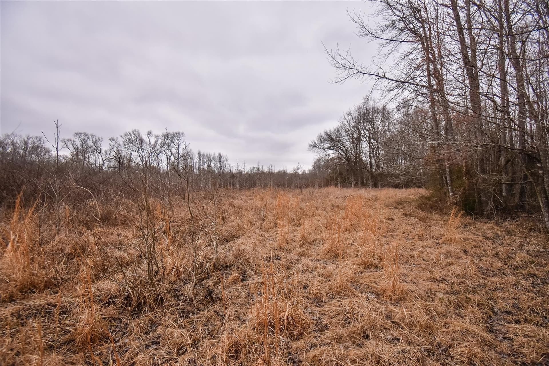 5.48 acres in Henderson County - photo 10