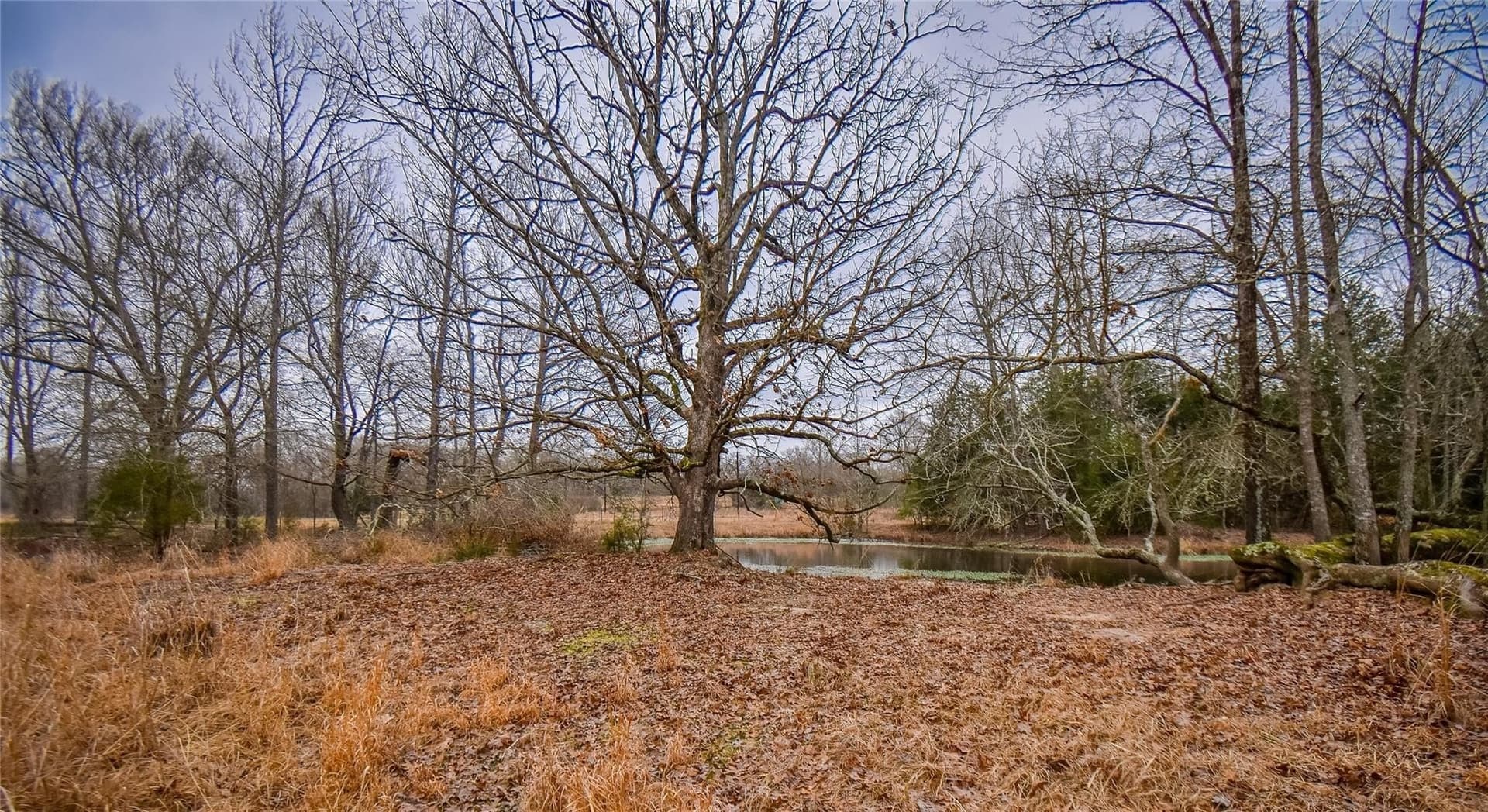 5.48 acres in Henderson County - photo 8