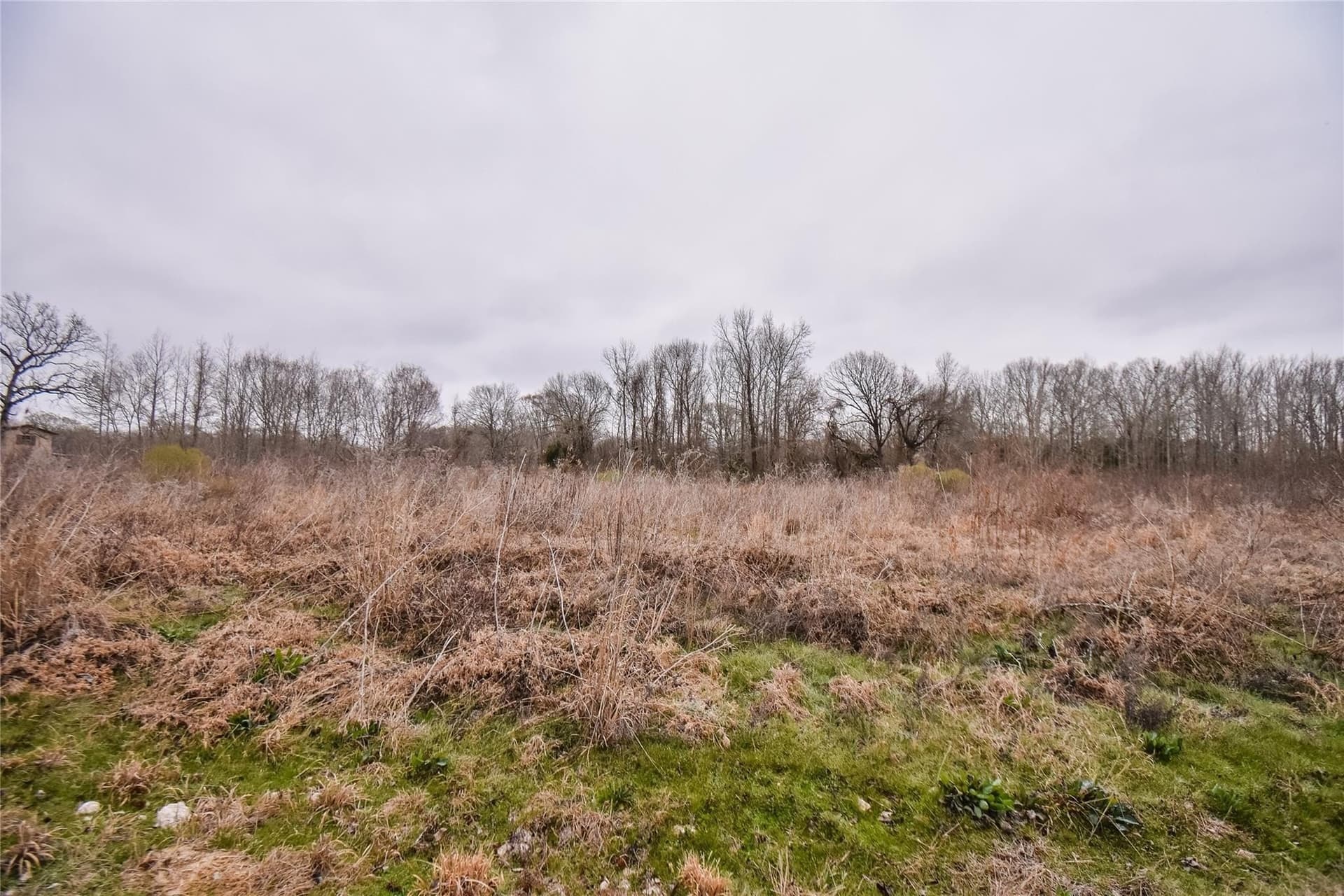 5.48 acres in Henderson County - photo 11