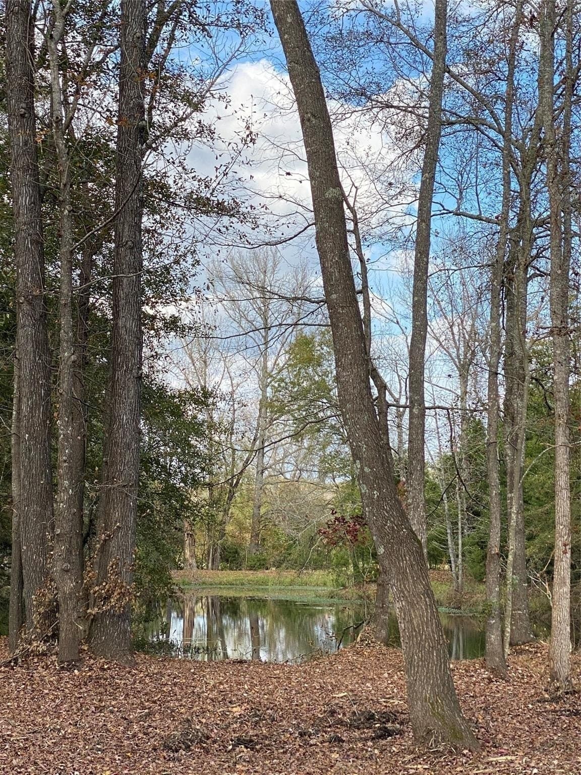 5.48 acres in Henderson County - photo 6
