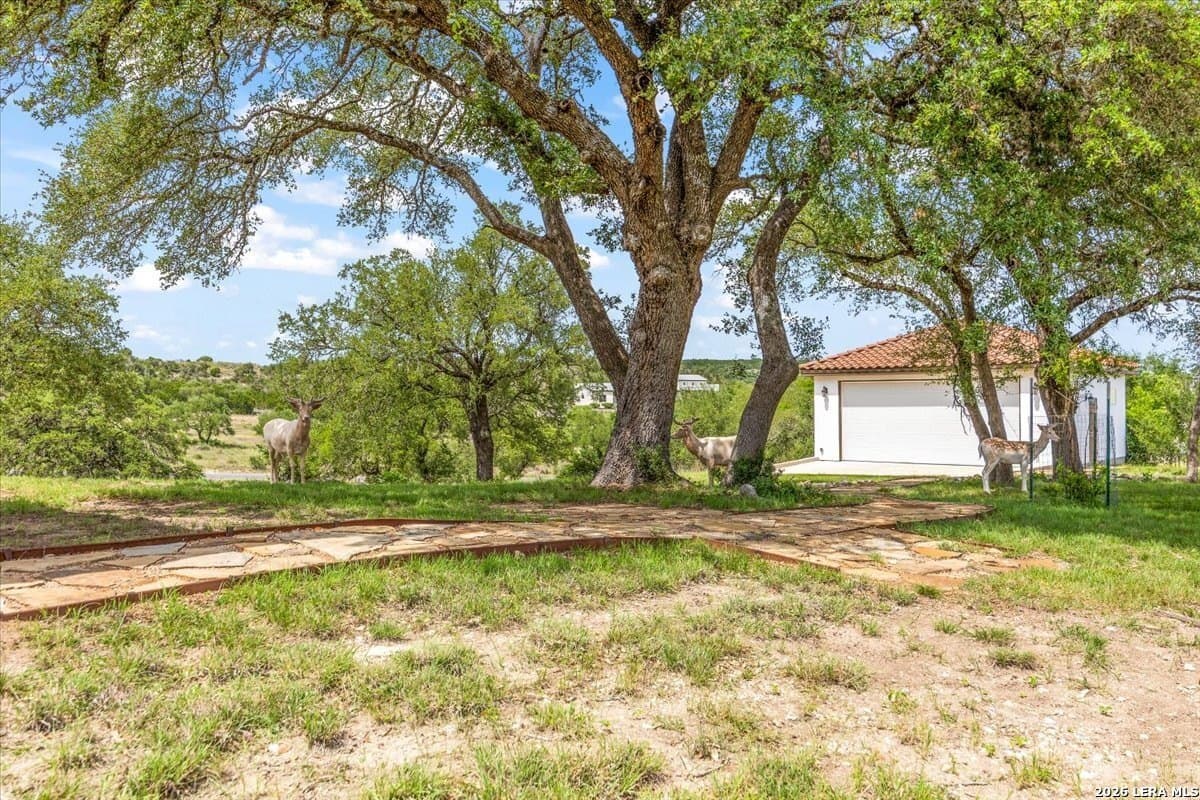 10.19 acres in Comal County - photo 53