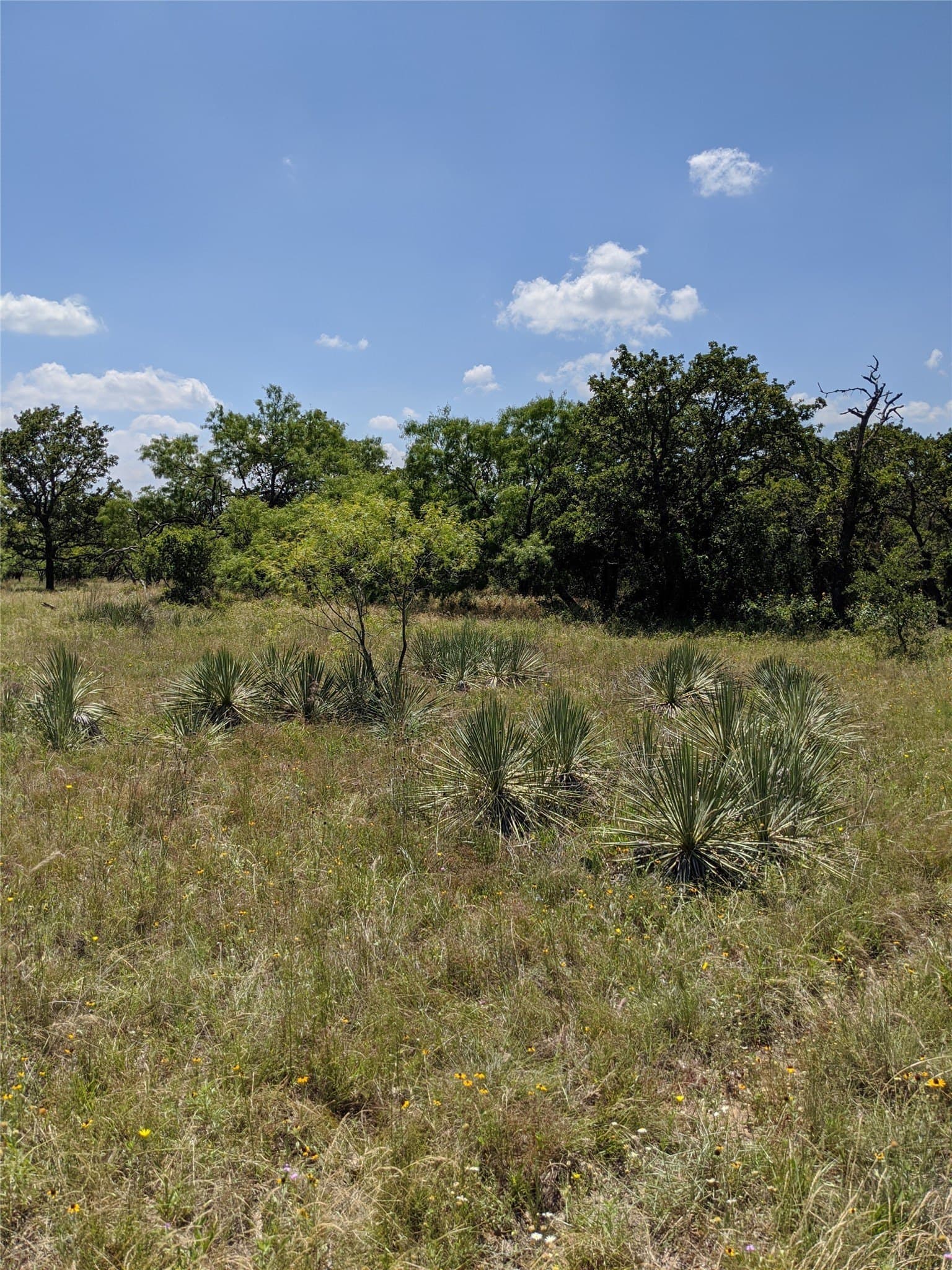 5 acres in Eastland County