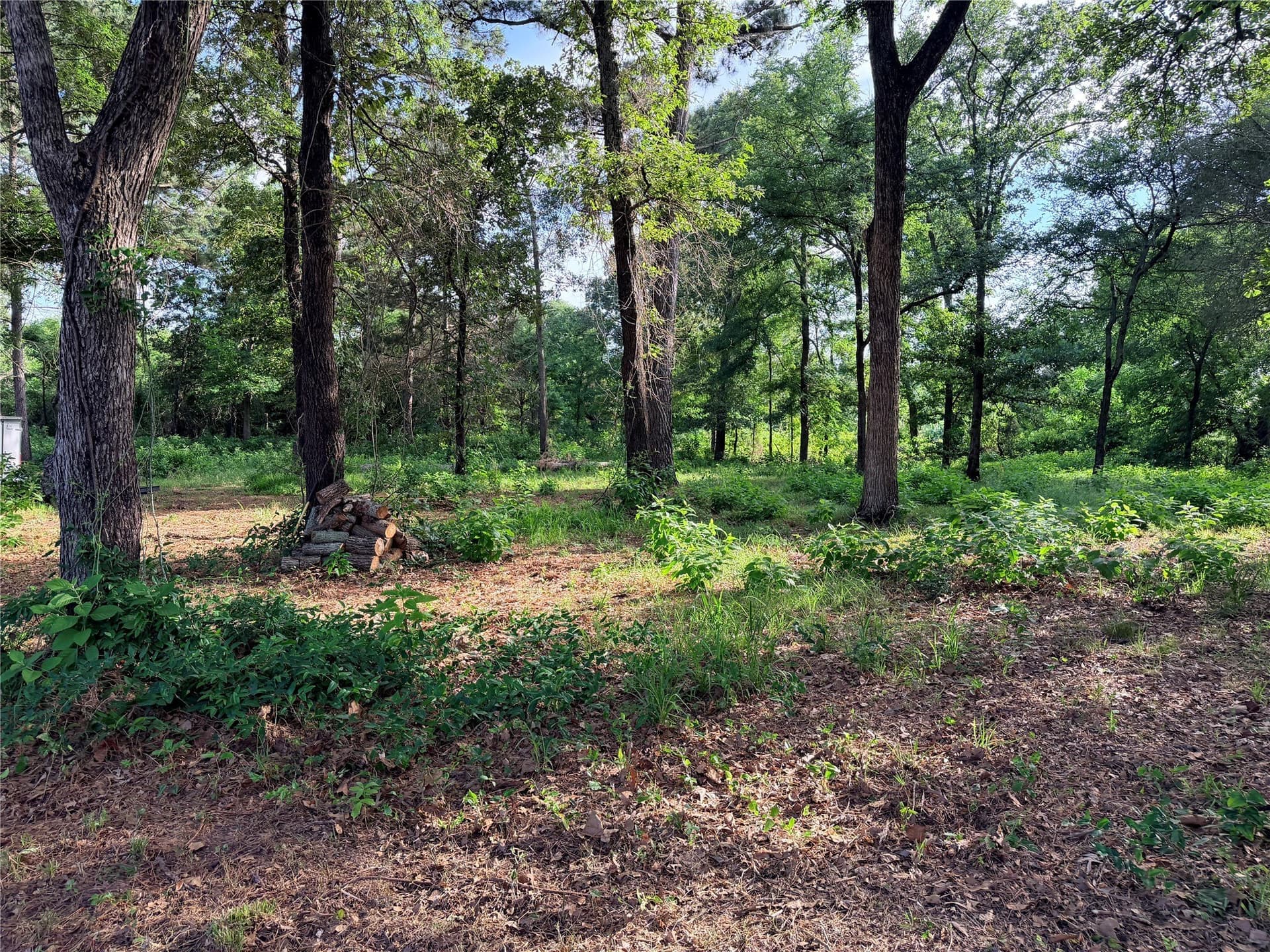5.91 acres in Van Zandt County - photo 6