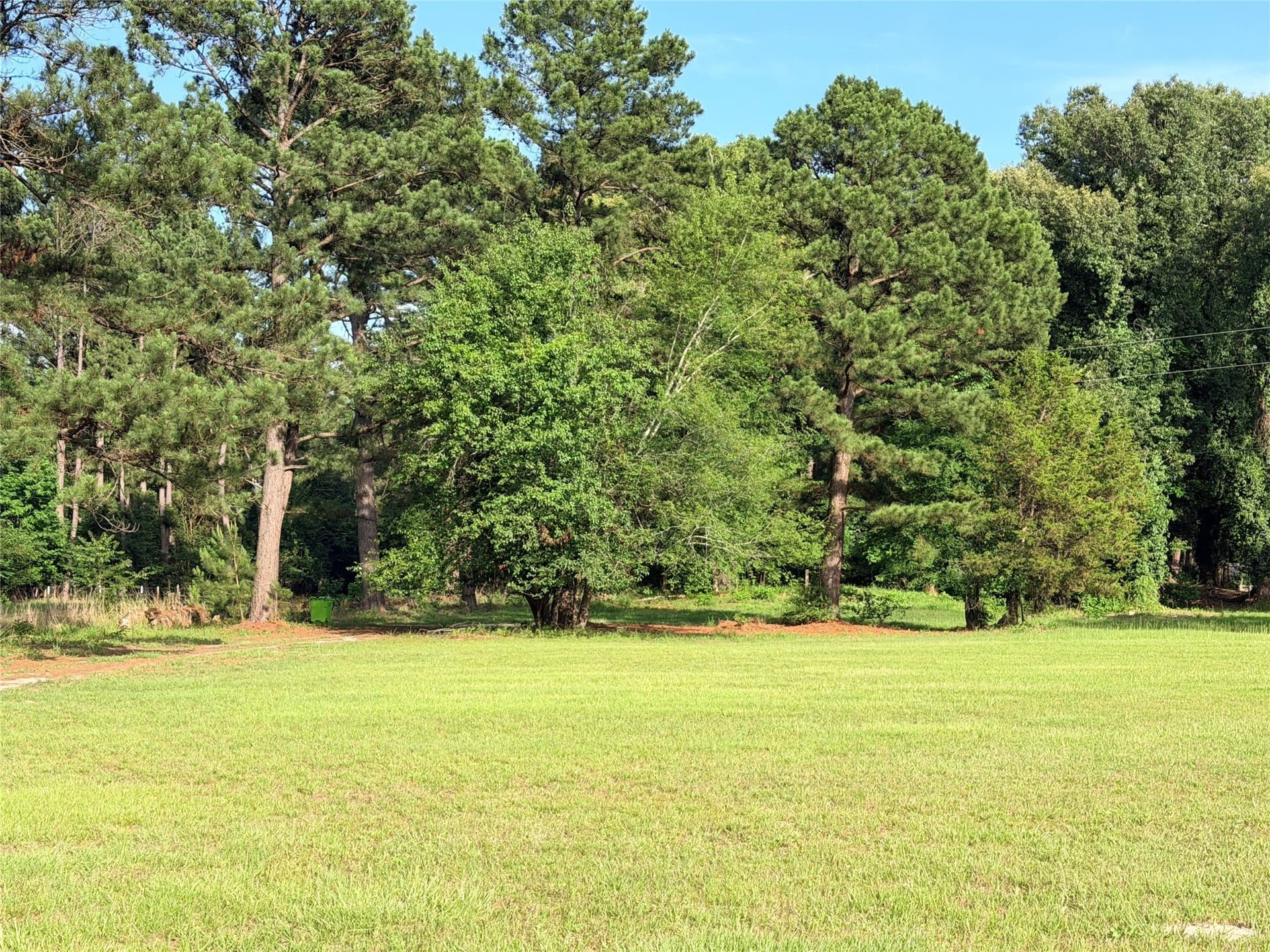5.9 acres in Van Zandt County gallery image 4