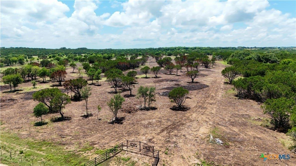 11 acres in Bell County gallery image 2