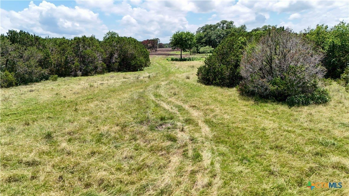 10.75 acres in Bell County - photo 6