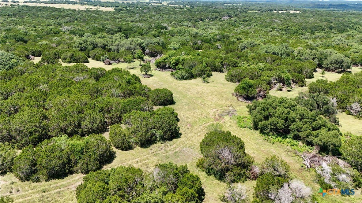 10.75 acres in Bell County - photo 7