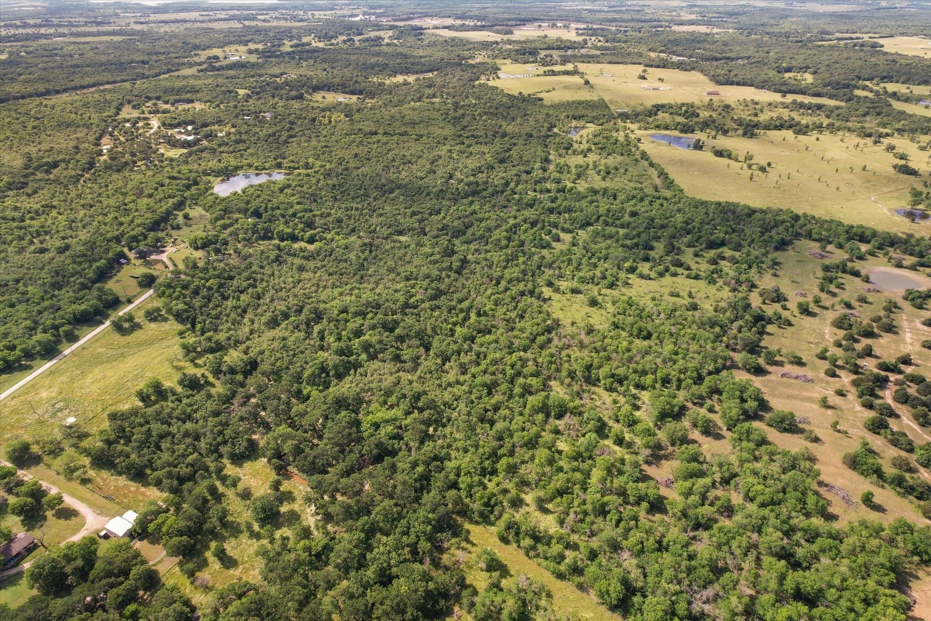 10 acres in Navarro County - photo 10