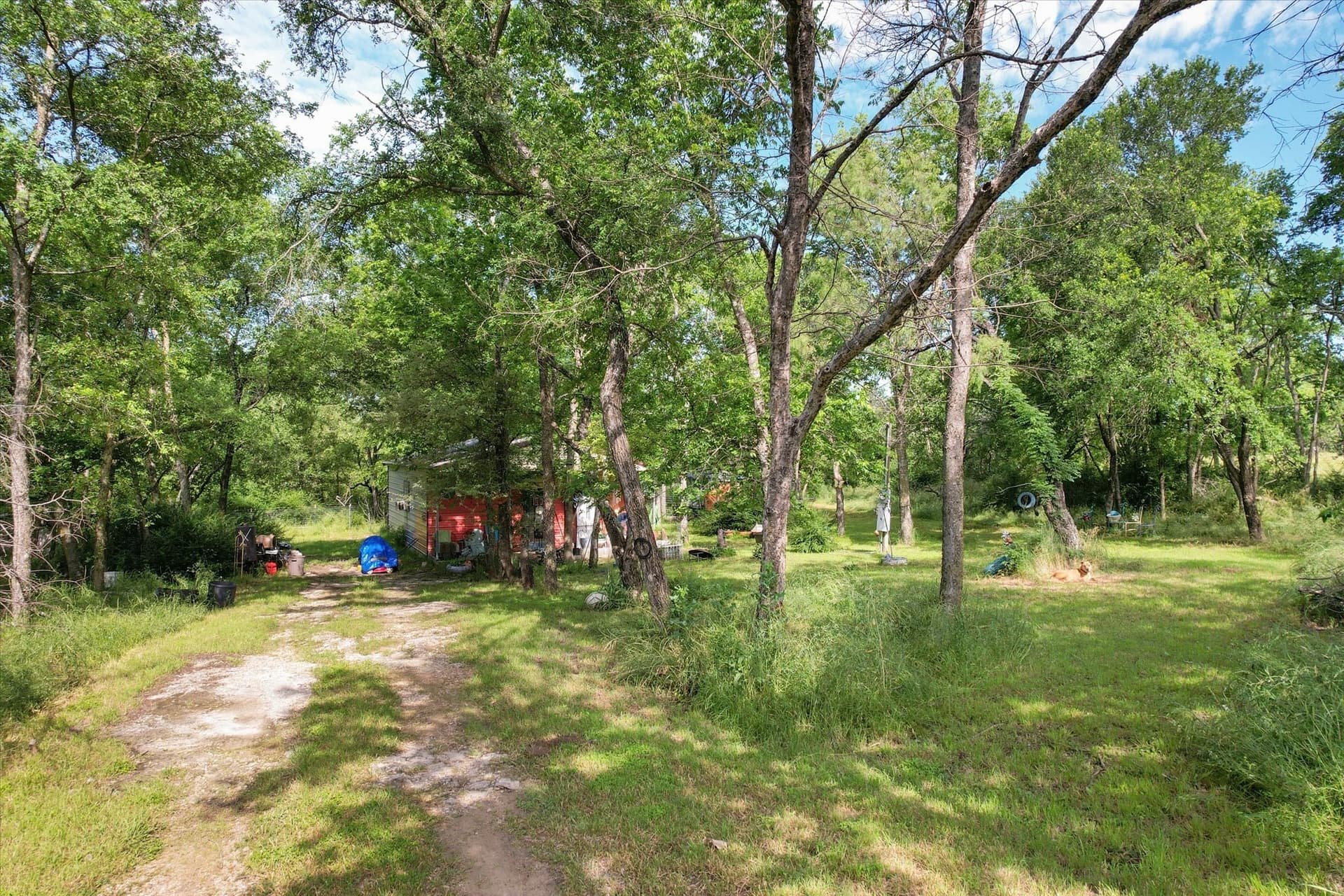 10 acres in Navarro County gallery image 4