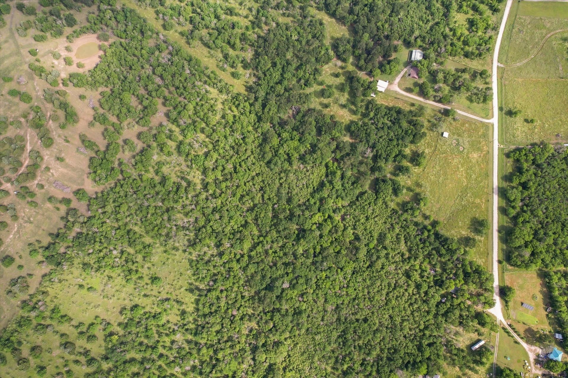 10 acres in Navarro County gallery image 2