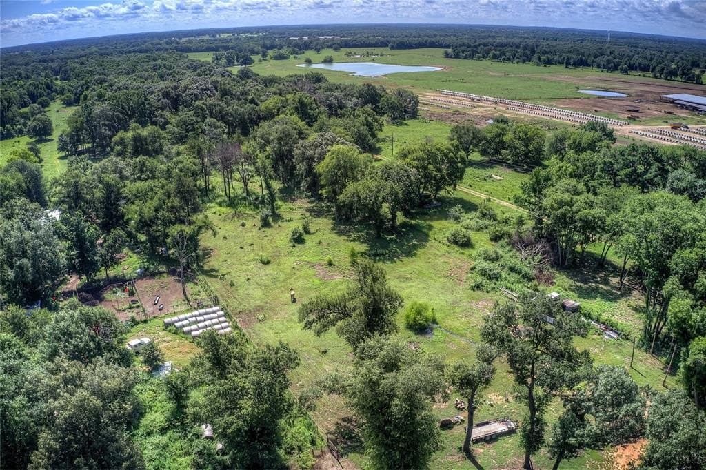 12.5 acres in Hopkins County gallery image 4