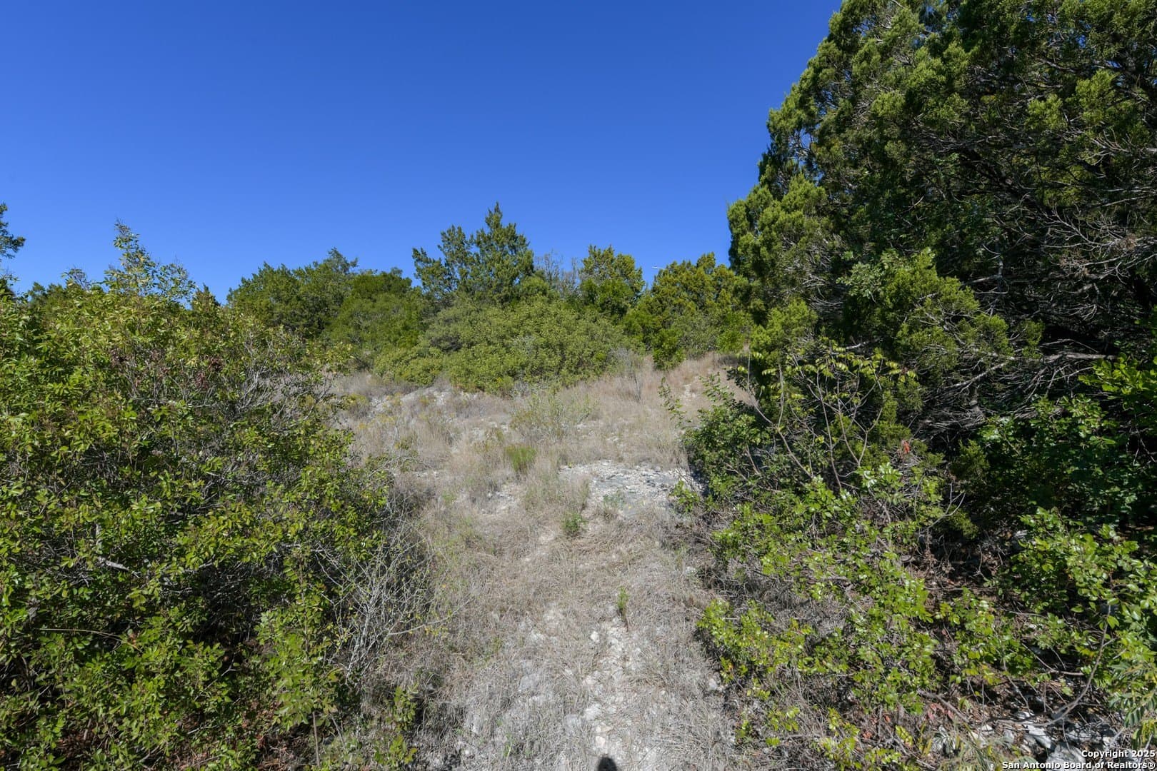 0.26 acres in Bexar County gallery image 3