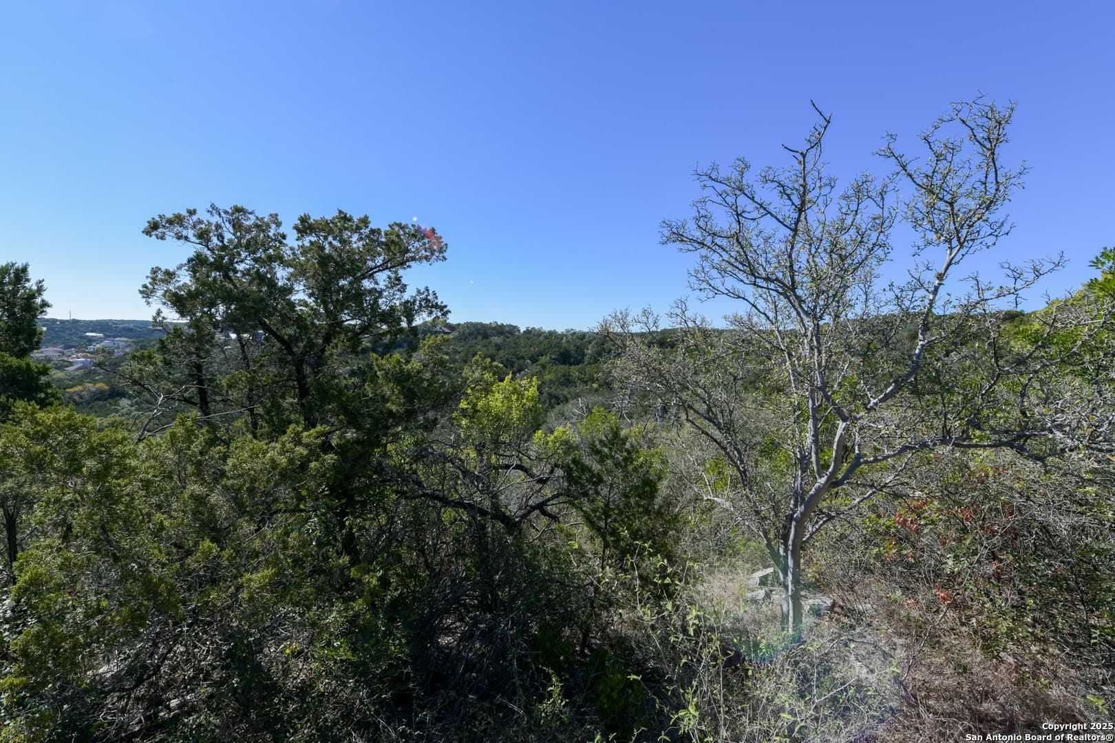 0.26 acres in Bexar County gallery image 4