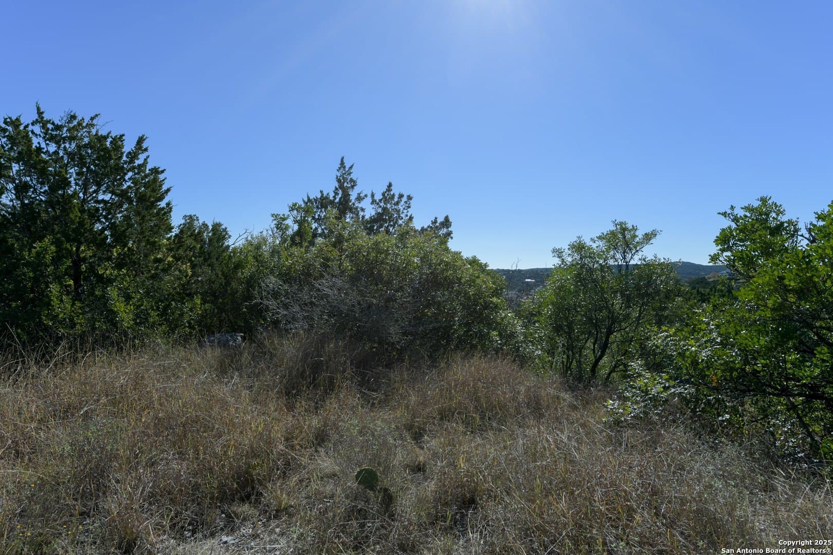 0.26 acres in Bexar County - photo 6