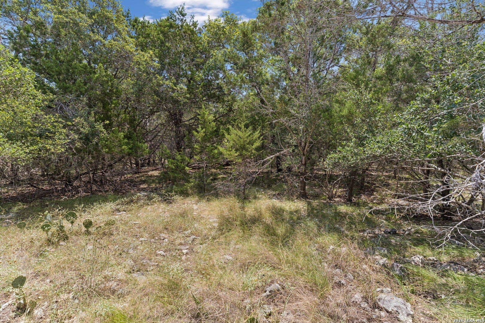 0.76 acres in Kendall County - photo 6
