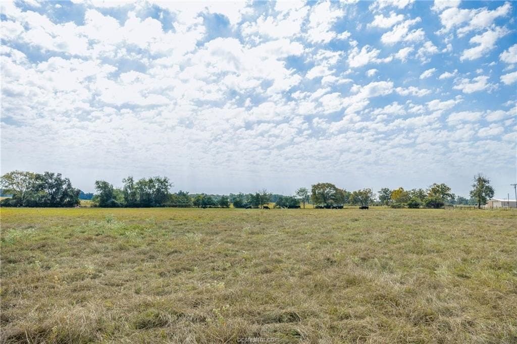11.66 acres in Robertson County gallery image 2