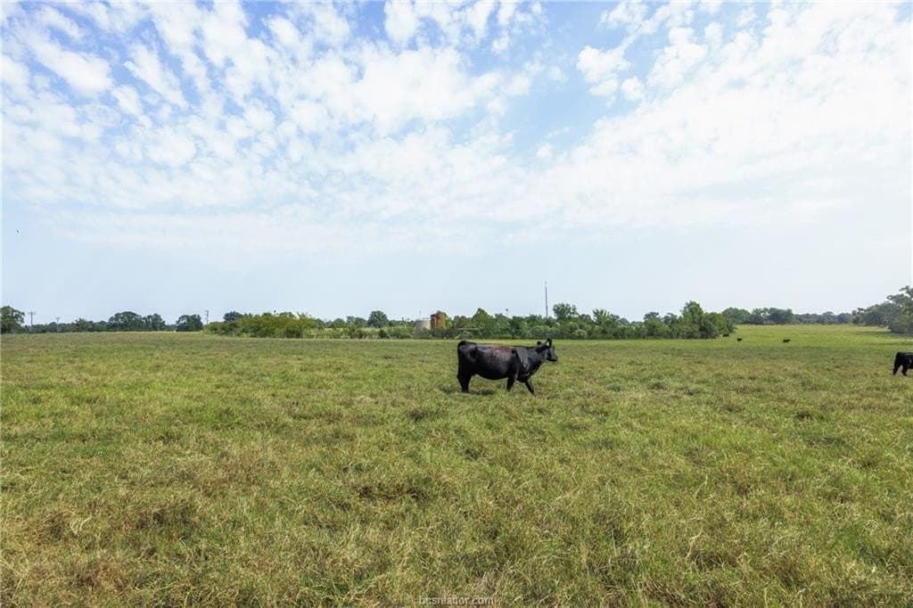 11.66 acres in Robertson County gallery image 4