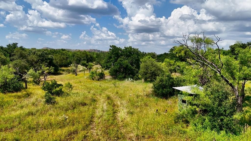 14.5 acres in Mason County - photo 9