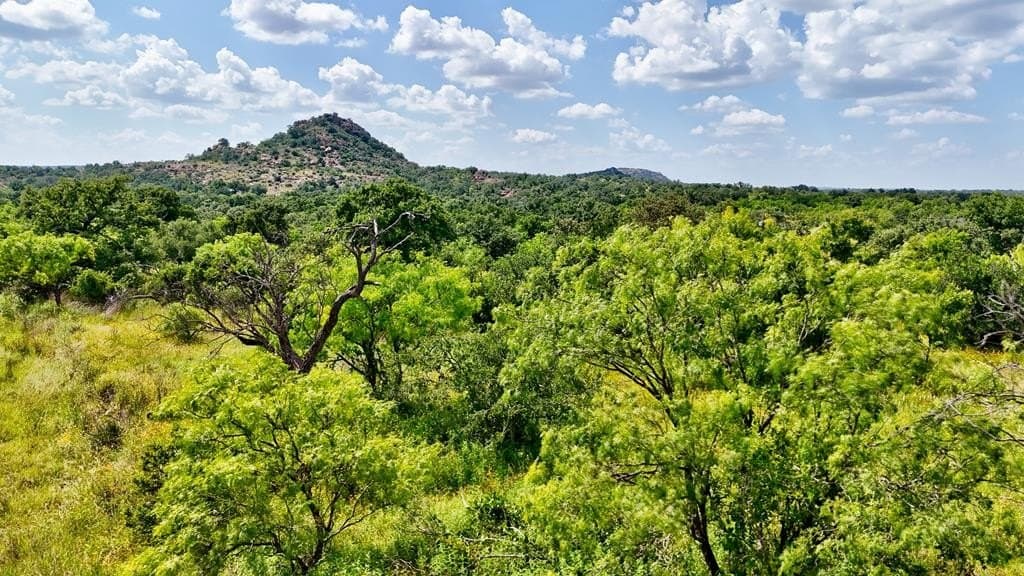 14.5 acres in Mason County - photo 13