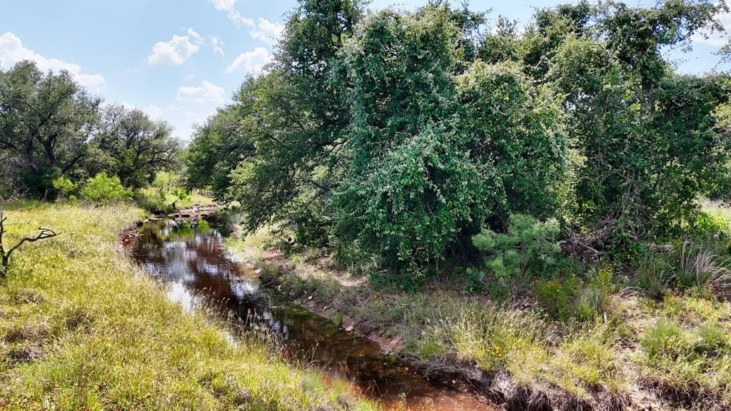 14.5 acres in Mason County - photo 8