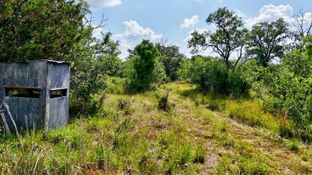 14.5 acres in Mason County - photo 10
