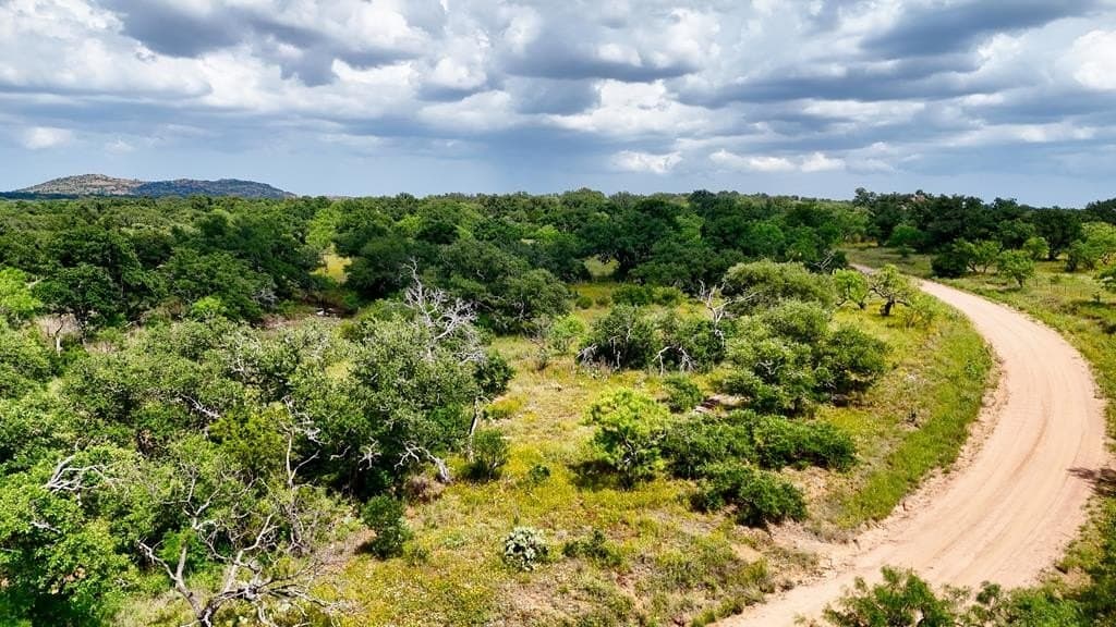 14.5 acres in Mason County - photo 16