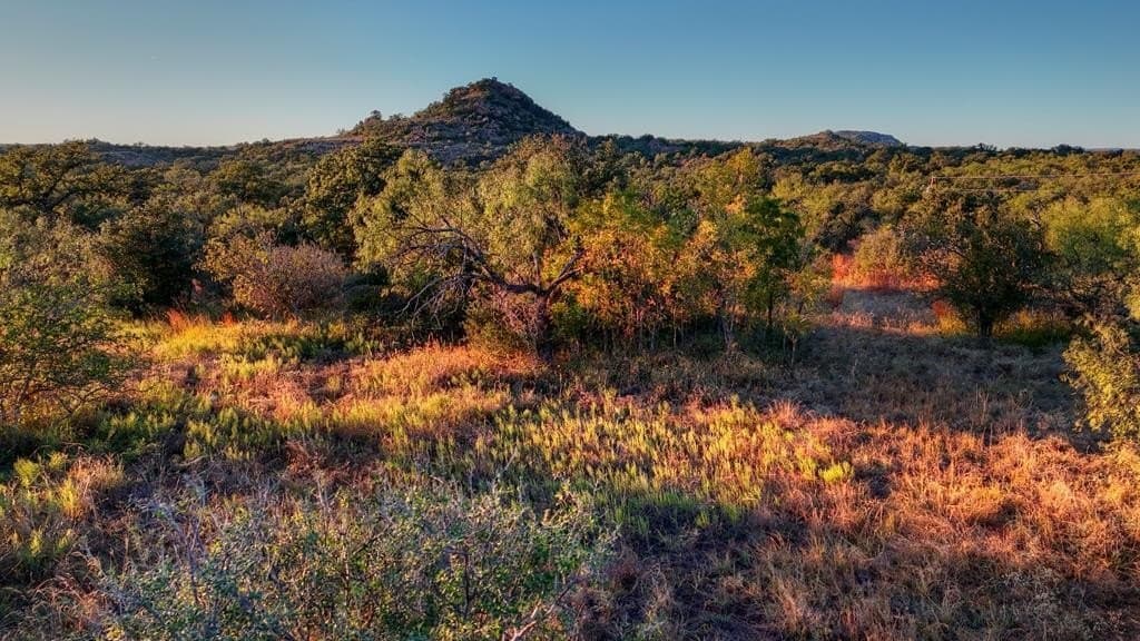 14.5 acres in Mason County - photo 2