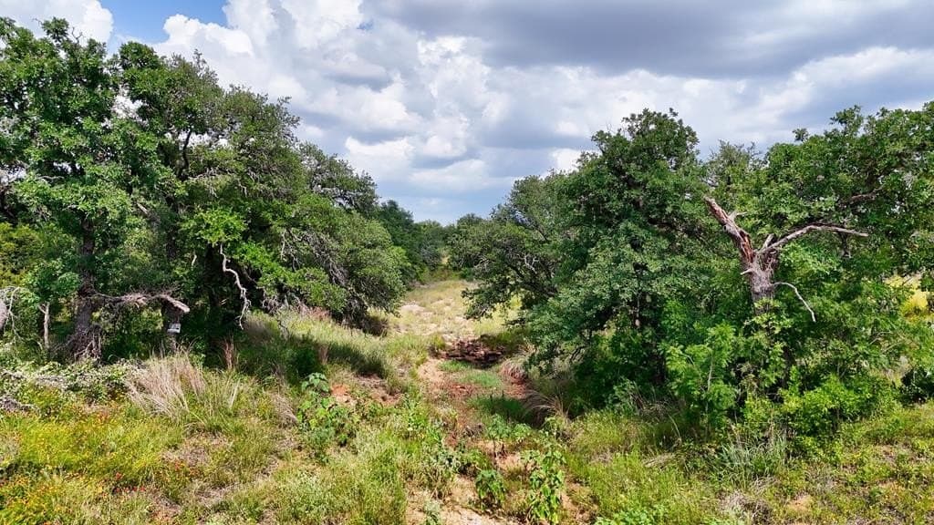 14.5 acres in Mason County - photo 7
