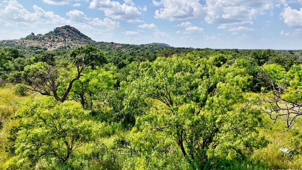 14.5 acres in Mason County - photo 14
