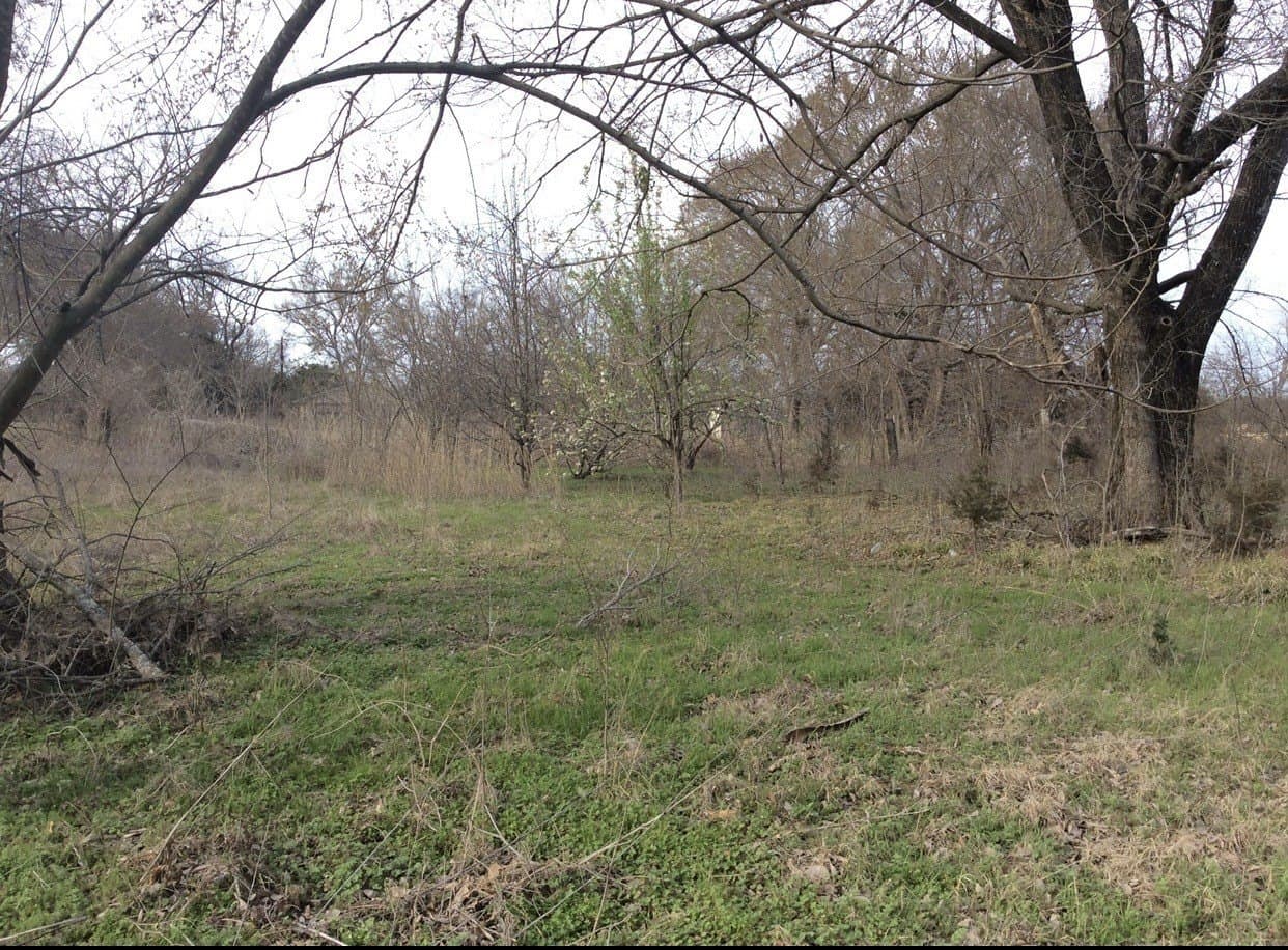 1.53 acres in Fannin County - photo 15