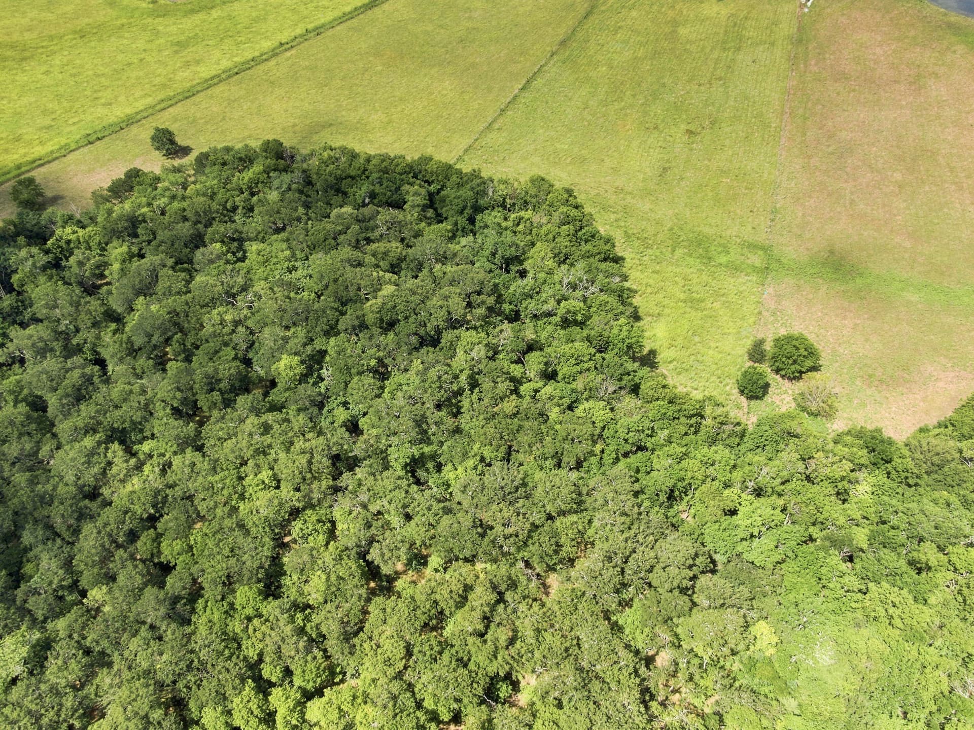 10 acres in Kaufman County - photo 35