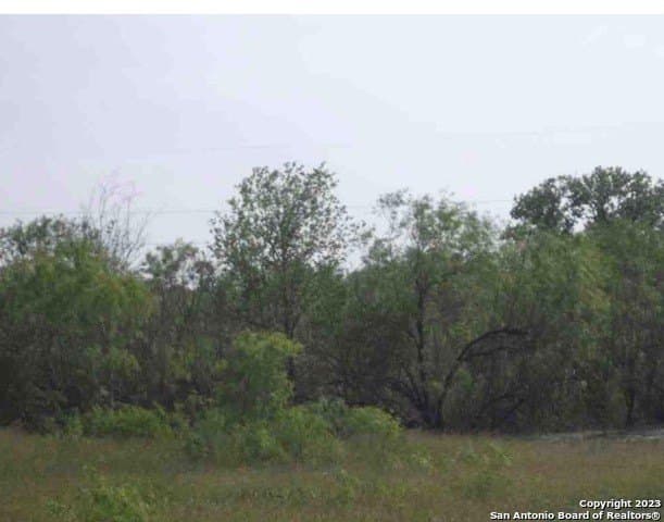 28.21 acres in Bexar County - photo 8