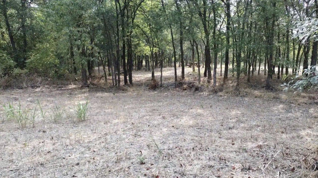1.41 acres in Hunt County - photo 22