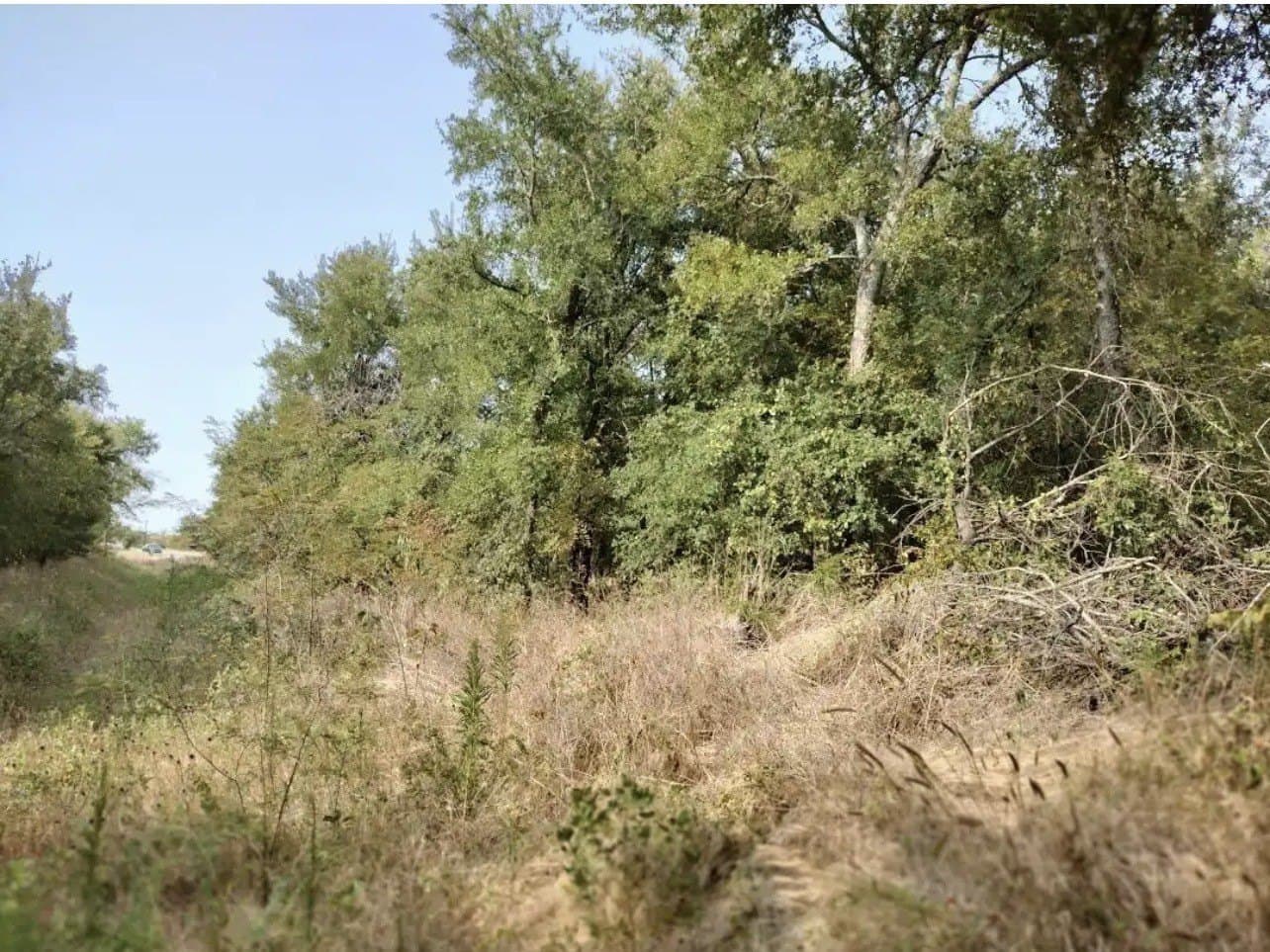 1.41 acres in Hunt County - photo 17