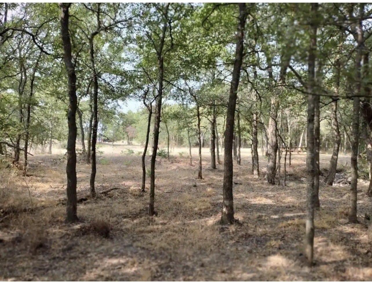 1.41 acres in Hunt County - photo 18