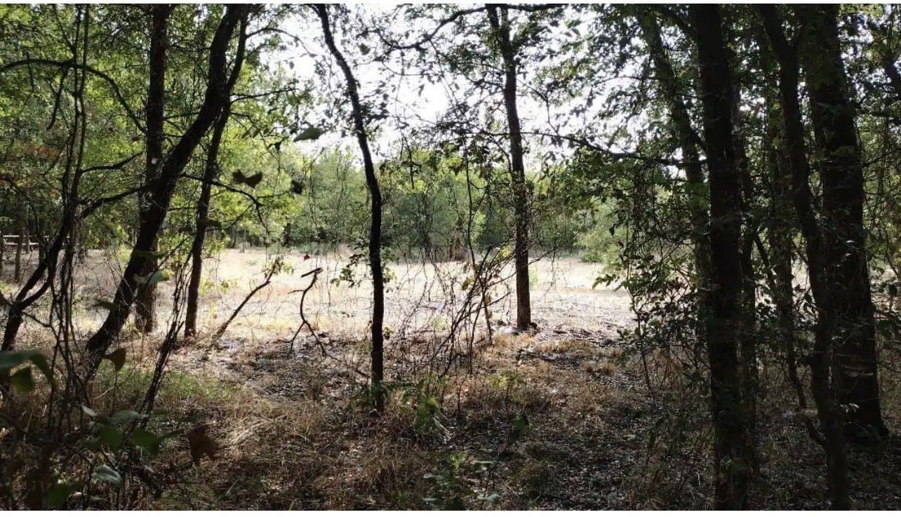 1.41 acres in Hunt County - photo 23