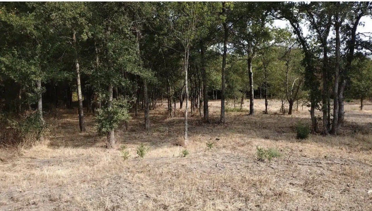 1.41 acres in Hunt County - photo 21