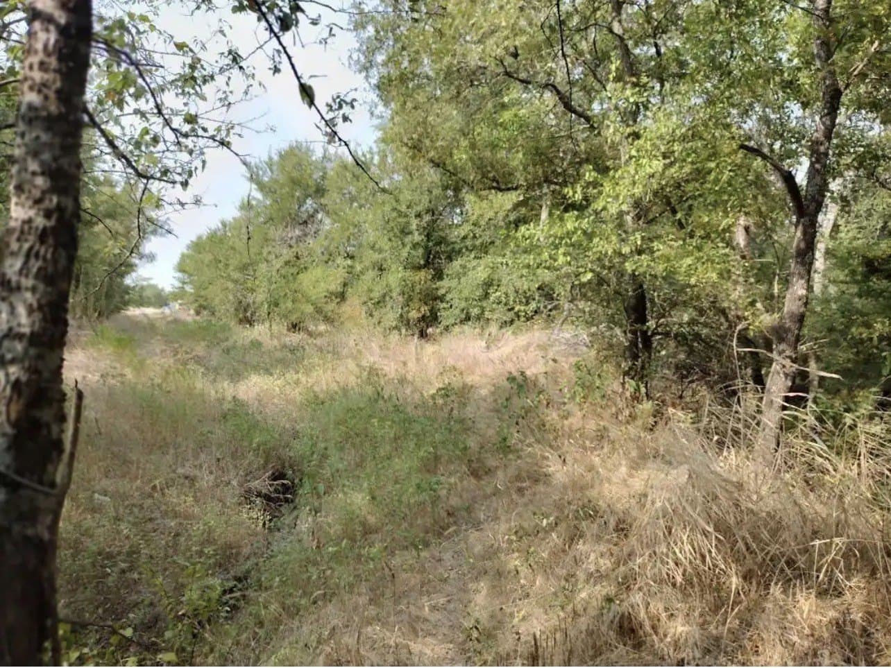 1.41 acres in Hunt County - photo 16