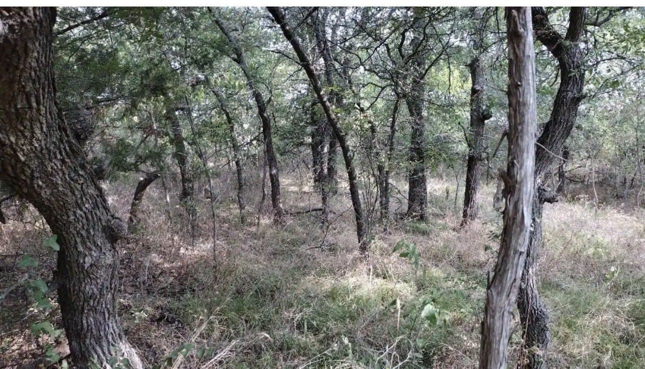 1.41 acres in Hunt County - photo 20