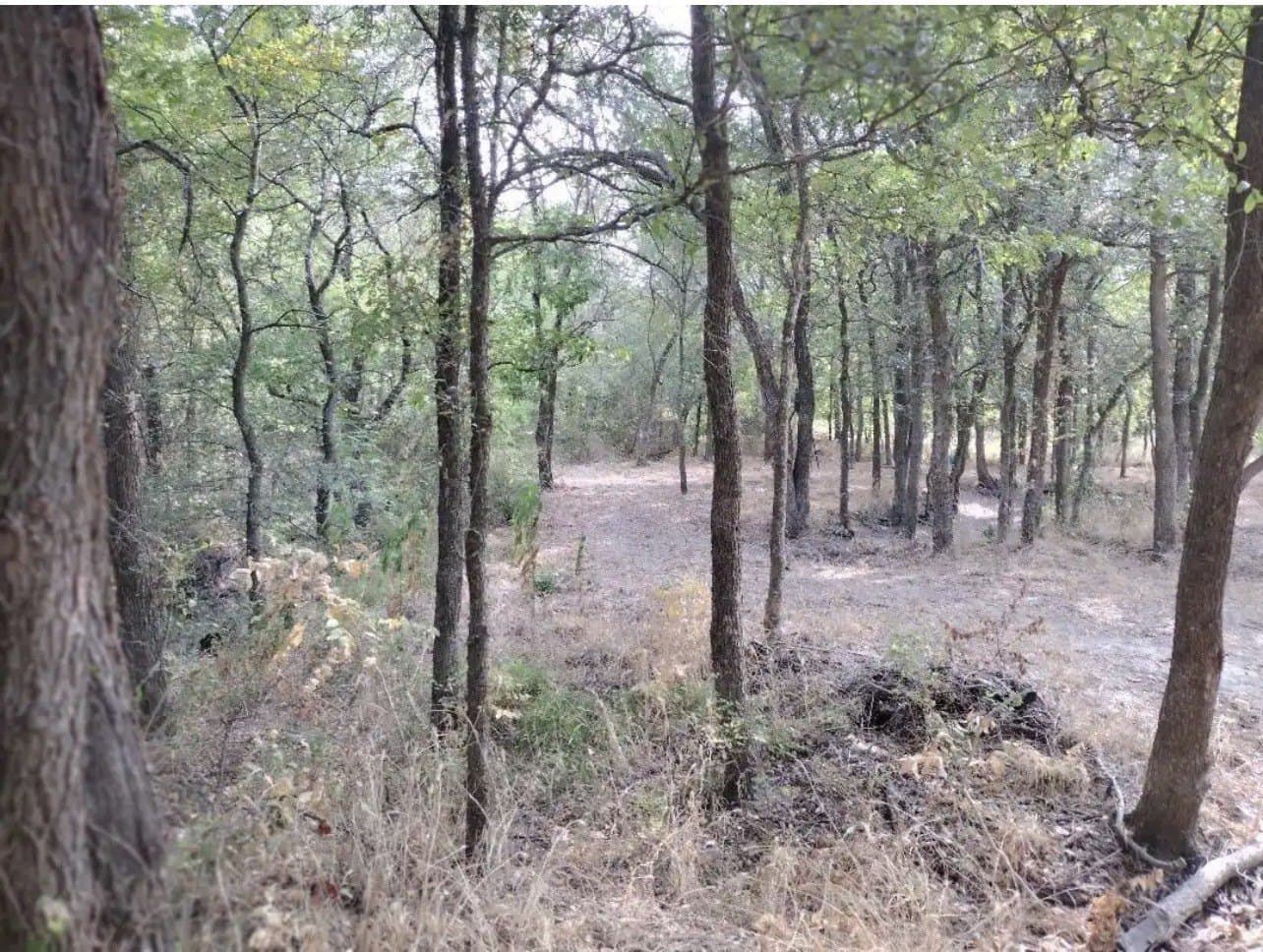 1.41 acres in Hunt County - photo 19