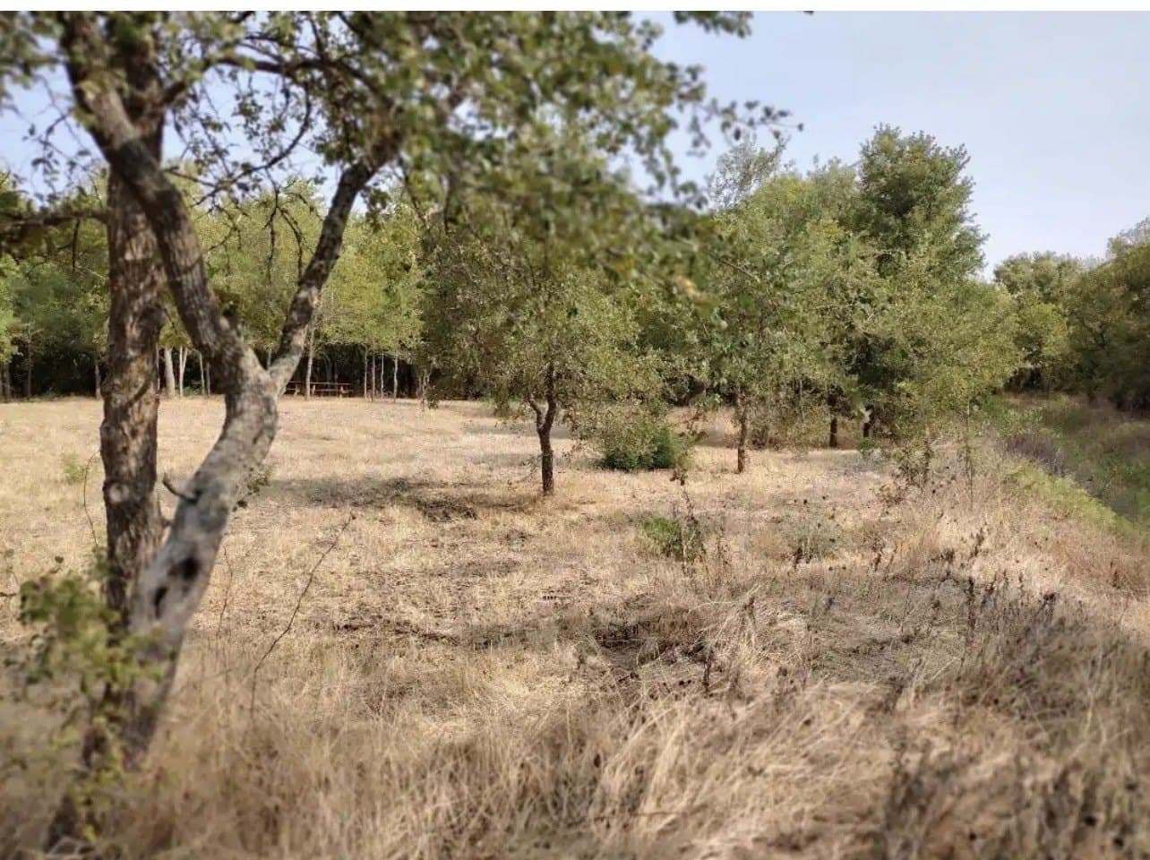 1.41 acres in Hunt County - photo 10
