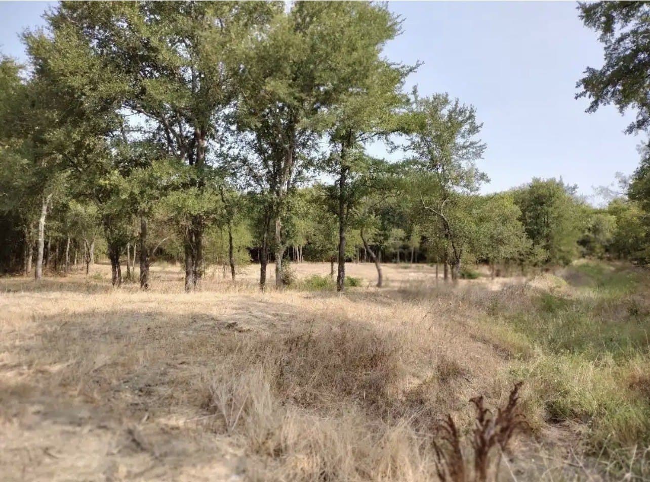 1.41 acres in Hunt County - photo 13